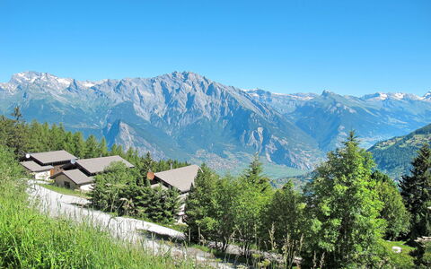 Edelweiss: Cielo, Montagna, Pianta, Ecoregione, Paesaggio Naturale, Highland, Albero, Lotto, Pendenza, Erba