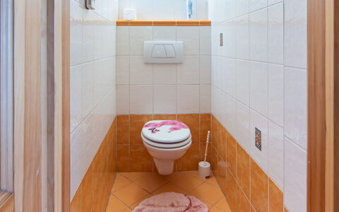 Karasova Ii: Toilet Seat, Pavimentazione, Parete, Pavimento, Gabinetto, Bagno, Idraulico Fixture, Interior Design, Piastrella, Idraulico