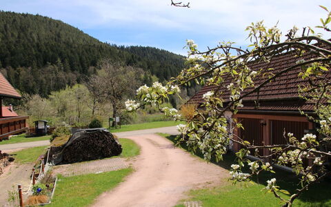 Backhäusle: Nube, Pianta, Cielo, Costruzione, Montagna, Natura, Paesaggio Naturale, Casa, Lotto, Albero