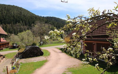 Backhäusle