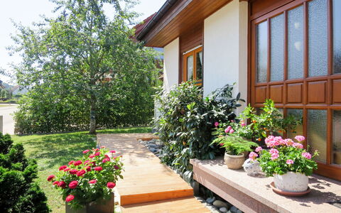 Land in Sicht: Fiore, Pianta, Costruzione, Proprietà, Finestra, Vaso Di Fiori, Pianta Della Casa, Botanica, Casa, Cielo