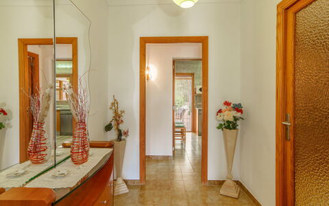 Can Damia: Pianta, Specchio, Cornice, Pianta Della Casa, Fiore, Legna, Costruzione, Arancia, Illuminazione, Porta