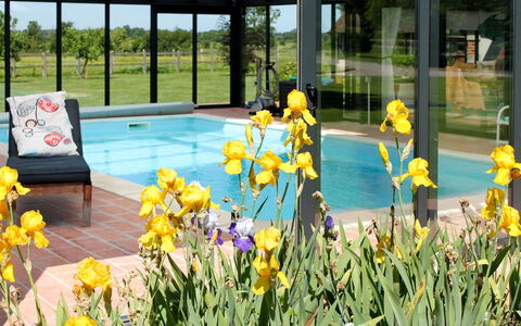 Corbon 601: Fiore, Pianta, Acqua, Botanica, Giallo, Erba, Shade, Piscina, Paesaggio, Petalo