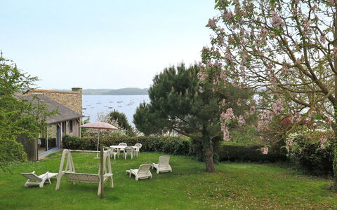 Bella Vista: Pianta, Albero, Lotto, Arbusto, Giardino, Prato, Backyard, Parco, Cortile, Groundcover