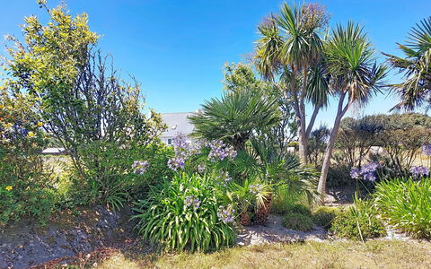 Ker Laouen: Vegetazione, Arbusto, Comunita 'Impianto, Pianta Fiorita, Giardino, Woody Impianto, Shrubland, Giardino Botanico