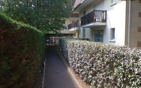 Jardins du Casino: Parete, Arbusto, Groundcover, Hedge, Primavera, Giardino, Cortile, Landscaping, Backyard, Recinzione