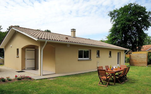 Mimosa: Cielo, Pianta, Costruzione, Finestra, Nube, Albero, Tavolo, Casa, Porta, Shade