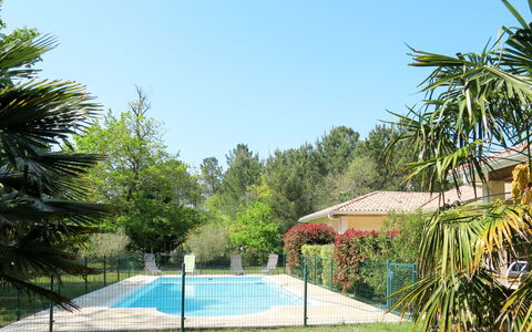 Eugénie: Cielo, Pianta, Giorno, Costruzione, Natura, Azzurro, Recinzione, Shade, Botanica, Albero