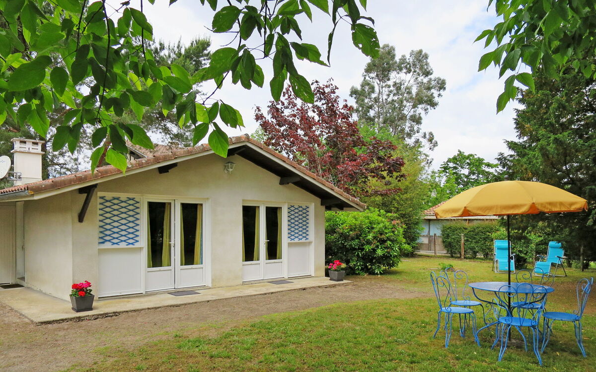 Catalpas (Lix111)