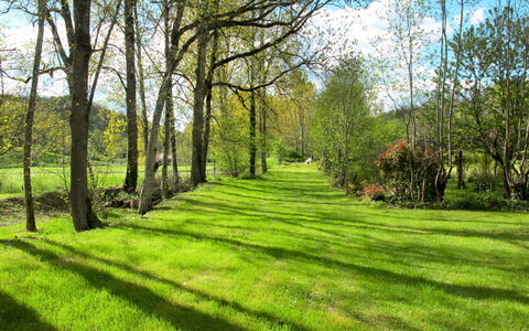 Le Moulin: Pianta, Cielo, Paesaggio Naturale, Nube, Ambiente Naturale, Ramo, Albero, Legna, Shade, Lotto