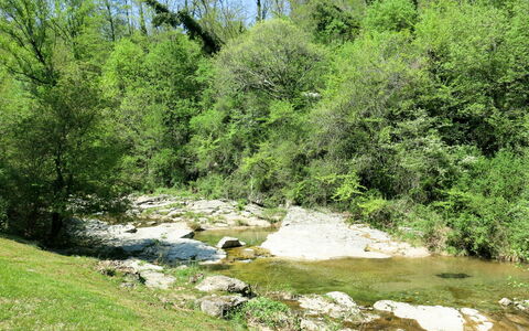 Le Moulin: Risorse Idriche, Acqua, Pianta, Albero, Paesaggio Naturale, Cielo, Vegetazione, Alveo, Biome