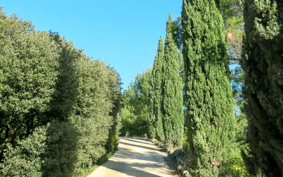 Maussane Les Alpilles 614