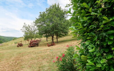 Le Prunier 603.3: Paesaggio Naturale, Vegetazione, Albero, Verde, Ambiente Naturale, Proprietà, Lotto, Riserva Naturale, Erba, Natura Selvaggia