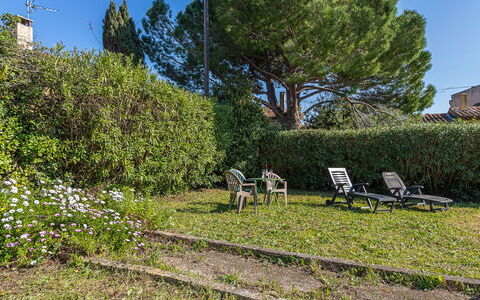 La Pitchoune: Verde, Foglia, Vegetazione, Arbusto, Giardino, Groundcover, Shade, Woody Impianto, Prato, Backyard