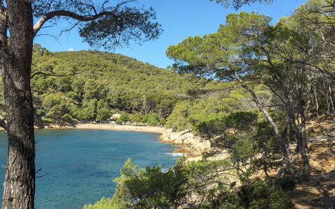 Six Fours 617: Acqua, Cielo, Pianta, Risorse Idriche, Comunita 'Impianto, Ecoregione, Albero, Azzurro, Paesaggio Naturale, Vegetazione