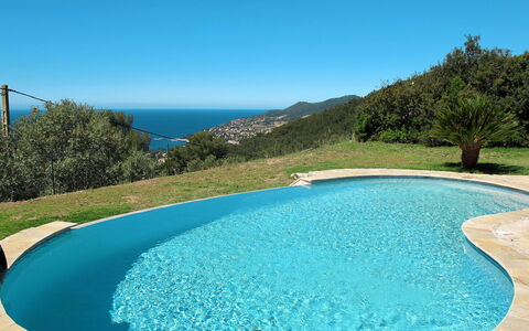 Jaune: Piscina, Proprietà, Azzurro, Risorse Idriche, Acqua, Immobiliare, Vacanza, Tempo Libero, Estate, Casa