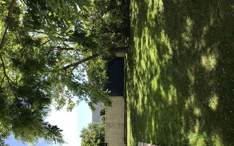 Casa Antoinette: Costruzione, Pianta, Verde, Paesaggio Naturale, Legna, Ramo, Tronco, Luce Del Sole, Vegetazione, Shade