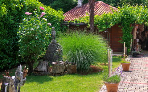 Blekic: Giardino, Cortile, Proprietà, Erba, Backyard, Pianta, Arbusto, Graminacee, Prato, Albero