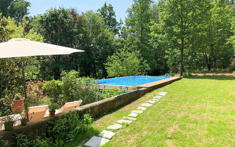 Giorgio Winery: Proprietà, Paesaggio Naturale, Erba, Giardino, Backyard, Cortile, Prato, Immobiliare, Albero, Casa