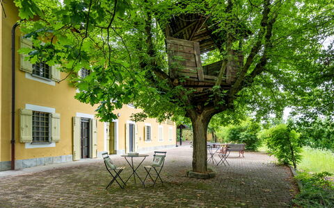 Giorgio Winery: Costruzione, Pianta, Finestra, Foglia, Albero, Ramo, Street Luce, Erba, Casa, Shade