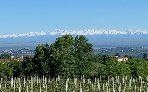 Villa Loreto: Cielo, Pianta, Comunita 'Impianto, Montagna, Ecoregione, Paesaggio Naturale, Natura, Ambiente Naturale, Albero, Highland