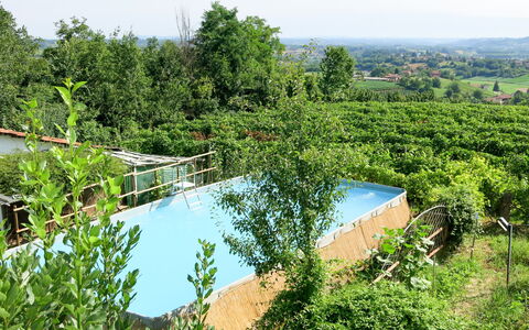 Carroccio Giallo: Acqua, Pianta, Cielo, Paesaggio Naturale, Lotto, Vegetazione, Albero, Alveo