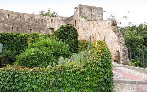 Ernestina: Parete, Fortificazione, Vegetazione, Castello, Rovine, Costruzione, Erba, Albero, Pianta, Storia