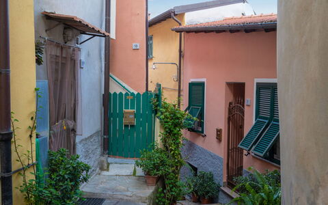 Ernestina: Pianta, Proprietà, Azzurro, Costruzione, Cielo, Biome, Quartiere, Urban Design, Manto Stradale