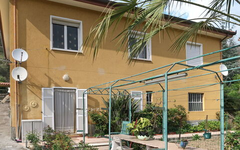 Gialla: Pianta, Costruzione, Finestra, Proprietà, Cielo, Shade, Architettura, Quartiere, Legna