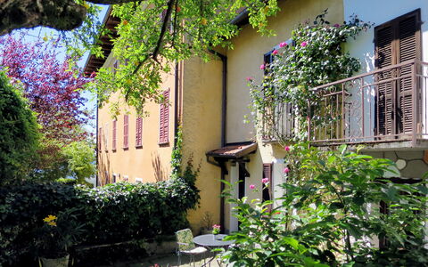 Nicol: Pianta, Proprietà, Arbusto, Giardino, Casa, Immobiliare, Costruzione, Viola, Zona Residenziale