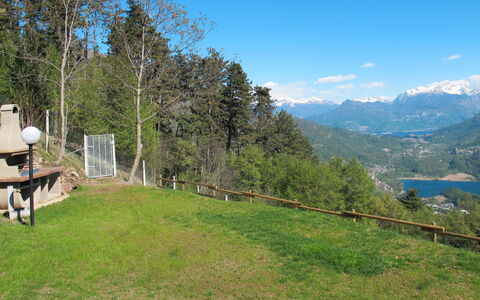 Pineta: Proprietà, Montagna, Geografia Montane, Natura Selvaggia, Immobiliare, Albero, Cielo, Catena Montuosa, Erba, Lotto