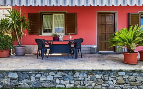 Casa Martina: Pianta, Costruzione, Finestra, Proprietà, Vaso Di Fiori, Sedia, Tavolo, Pianta Della Casa, Interior Design, Casa