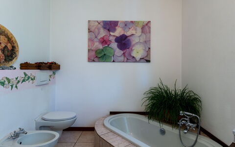 Candida: Pianta, Idraulico Fixture, Proprietà, Rubinetto, Vasca Da Bagno, Prodotto, Viola, Azzurro, Costruzione, Bagno