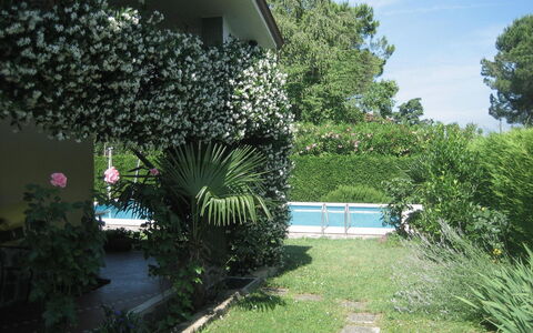 Serena: Pianta, Cielo, Costruzione, Nube, Acqua, Architettura, Vegetazione, Albero, Shade, Erba