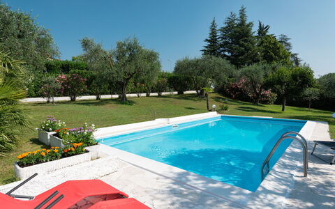 Incantevole: Piscina, Proprietà, Tempo Libero, Casa, Vacanza, Casa, Immobiliare, Lettino, Backyard, Erba