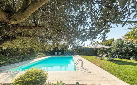 Ca' Del Vento: Blu, Piscina, Arbusto, Ricorrere, Giardino, Shade, Eco Hotel, Landscaping, Estate, Backyard