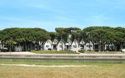 Logonovo