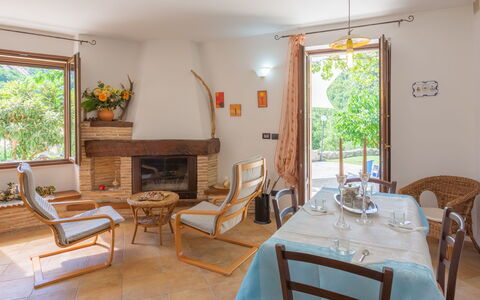 Rosario: Tavolo, Mobilia, Sedia, Finestra, Fiore, Azzurro, Legna, Costruzione, Interior Design