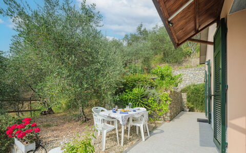 Zia Maria: Pianta, Cielo, Nube, Proprietà, Tavolo, Sedia, Shade, Albero, Erba, Vaso Di Fiori