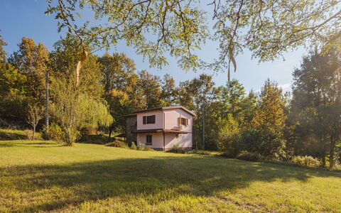 Grande Quercia: Pianta, Cielo, Costruzione, Finestra, Casa, Paesaggio Naturale, Albero, Lotto, Erba, Villetta