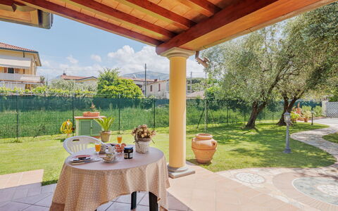 Colli: Pianta, Proprietà, Tavolo, Vaso Di Fiori, Costruzione, Cielo, Tavola, Shade, Interior Design, Albero
