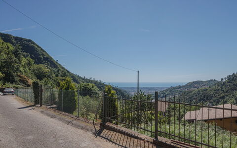 Luca: Legna, Illuminazione, Interior Design, Pavimentazione, Pavimento, Soggiorno, Immobiliare, Latifoglie, Tavolo, Fascio
