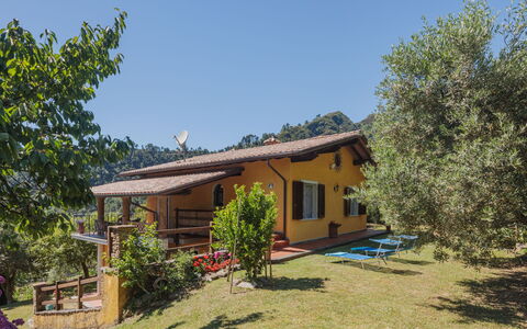 Luca: Pianta, Cielo, Costruzione, Finestra, Comunita 'Impianto, Casa, Albero, Lotto, Shade, Paesaggio Naturale