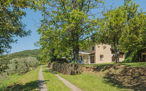 Di Carlino: Pianta, Cielo, Proprietà, Costruzione, Paesaggio Naturale, Albero, Finestra, Lotto, Casa, Erba
