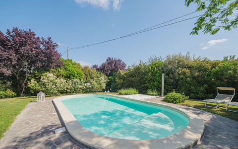 Villa Ulivo: Acqua, Cielo, Pianta, Proprietà, Nube, Piscina, Natura, Botanica, Azzurro, Architettura