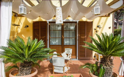 La Rondine: Pianta, Proprietà, Finestra, Costruzione, Vaso Di Fiori, Pianta Della Casa, Divano, Interior Design, Shade, Legna