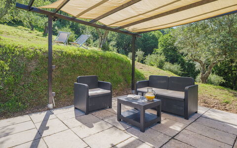 Buratto: Pianta, Mobilia, Shade, Mobili Da Esterno, Interior Design, Tavolo, Albero, Erba, Parete, Costruzione