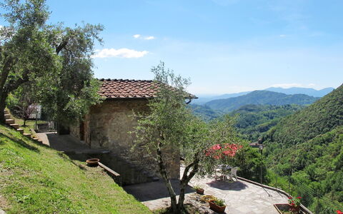 Castagneto: Proprietà, Vegetazione, Montagna, Paesaggio Naturale, Casa, Natura Selvaggia, Albero, Hill Station, Cielo, Immobiliare