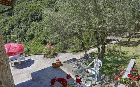 Castagneto: Pianta, Fiore, Sedia, Albero, Vaso Di Fiori, Biome, Mobili Da Esterno, Erba, Urban Design, Woody Impianto