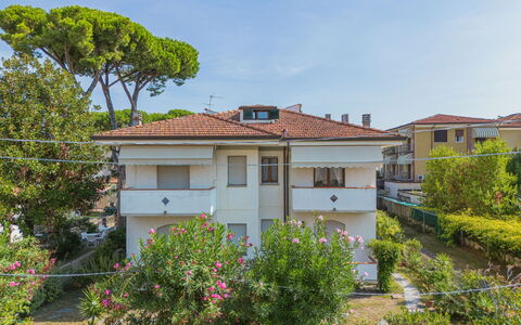 Dei Fiori: Cielo, Pianta, Costruzione, Proprietà, Finestra, Casa, Albero, Fiore, Lotto